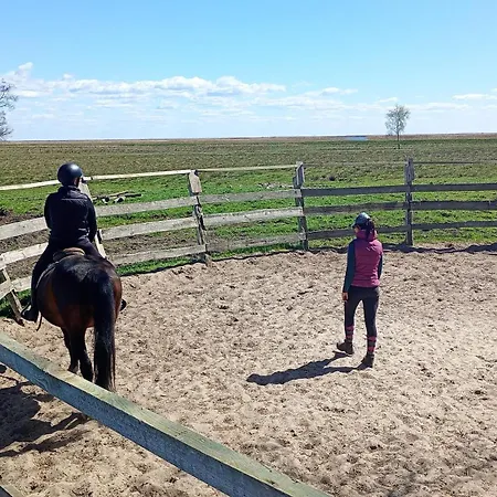 Palomino Feriegård Świnoujście (Swinemünde)